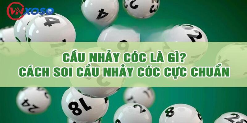 Cầu nhảy cóc và những thông tin cần biết